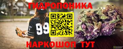скорость Будённовск