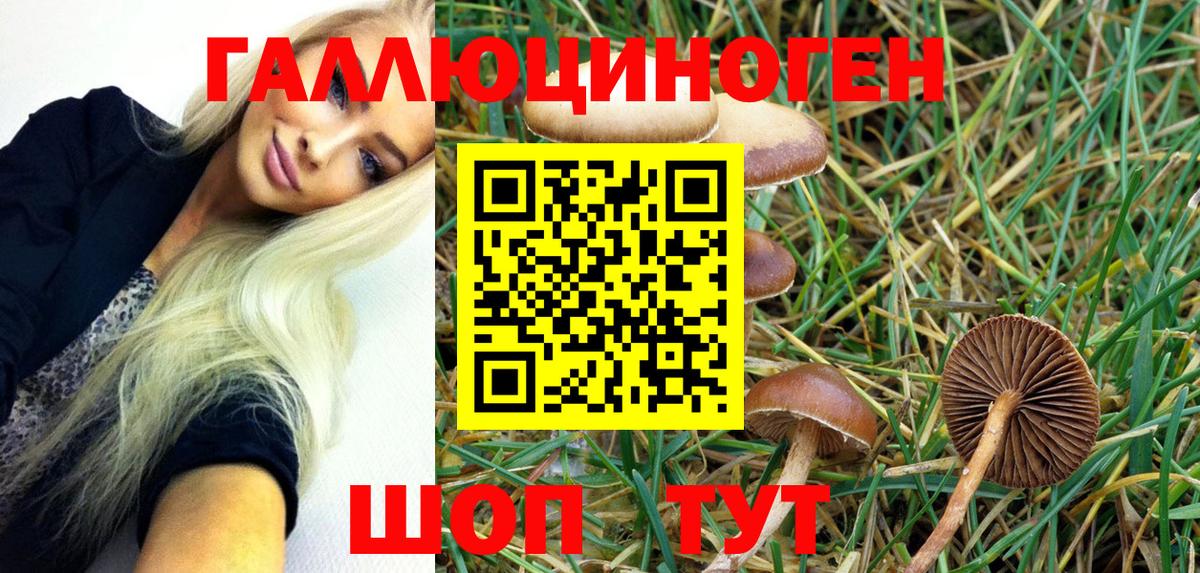 купить наркоту  Галлюциногенные грибы MAGIC MUSHROOMS  Вход с VPN  Нижневартовск 